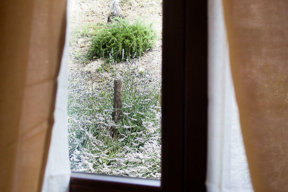 Agriturismo La Ca Veja 蒙福特达尔巴 外观 照片