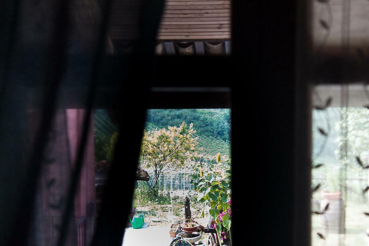 Agriturismo La Ca Veja 蒙福特达尔巴 外观 照片