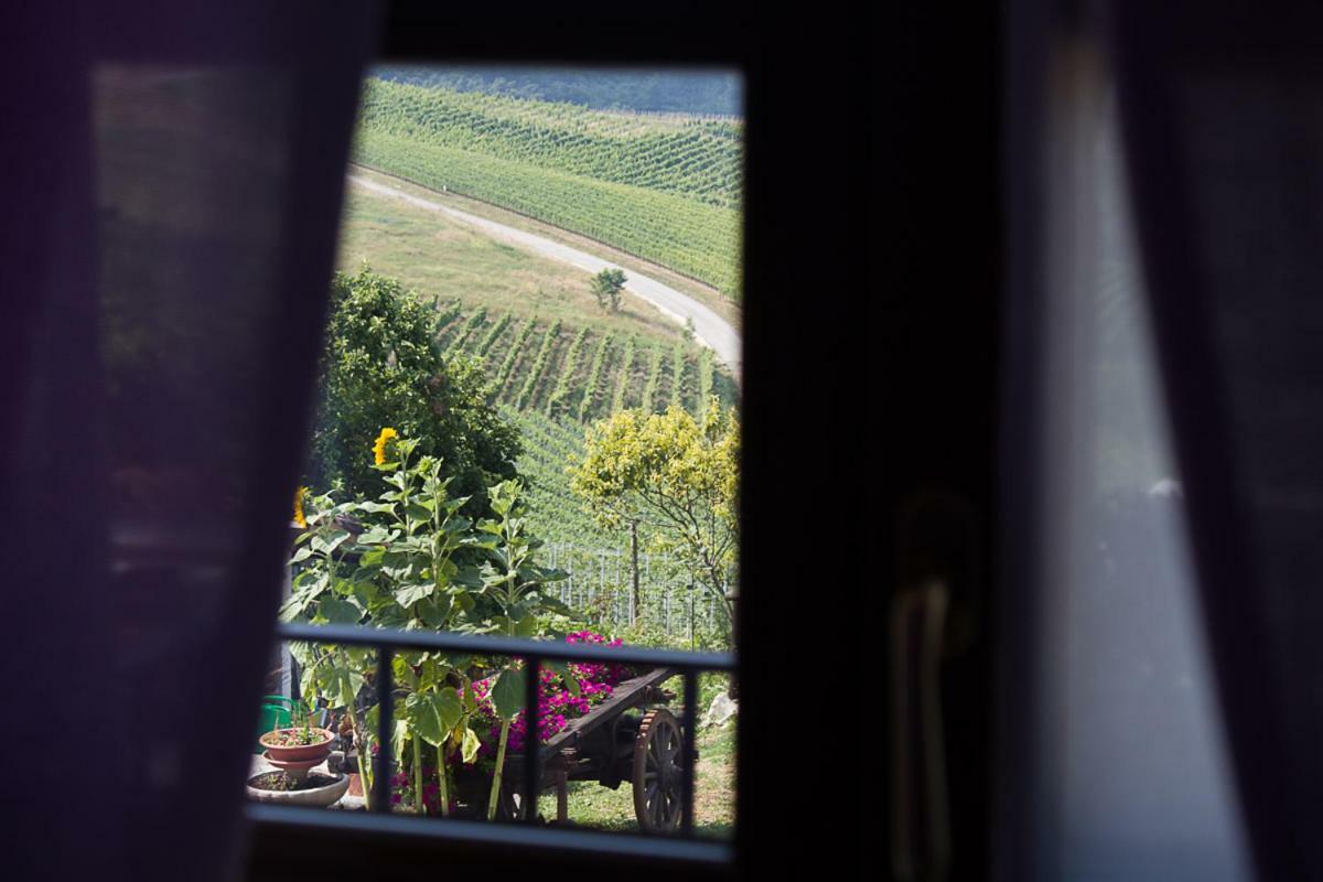 Agriturismo La Ca Veja 蒙福特达尔巴 外观 照片